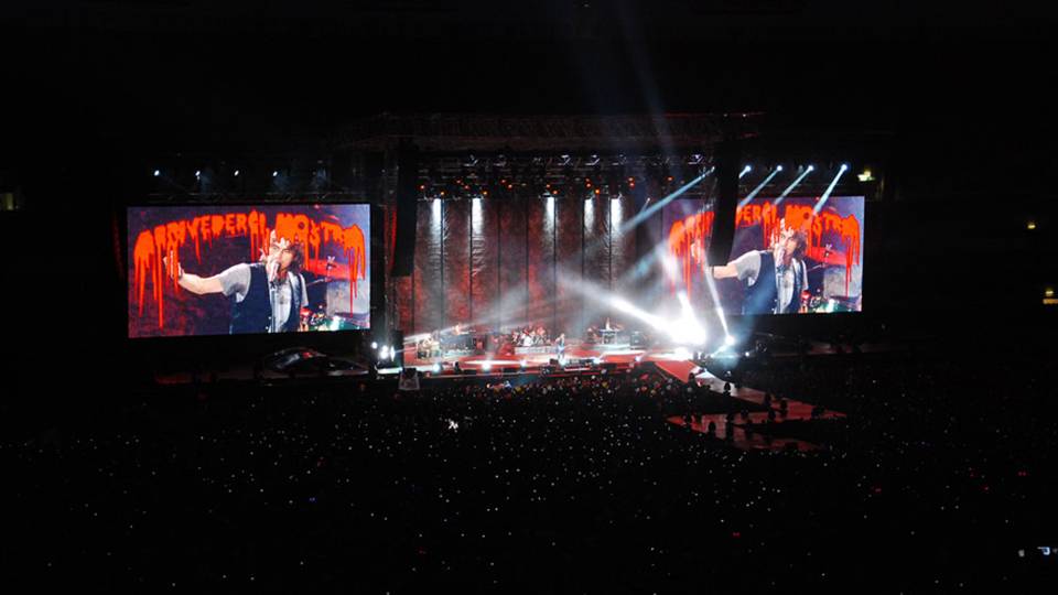 Ligabue Stadi 2010 Tour