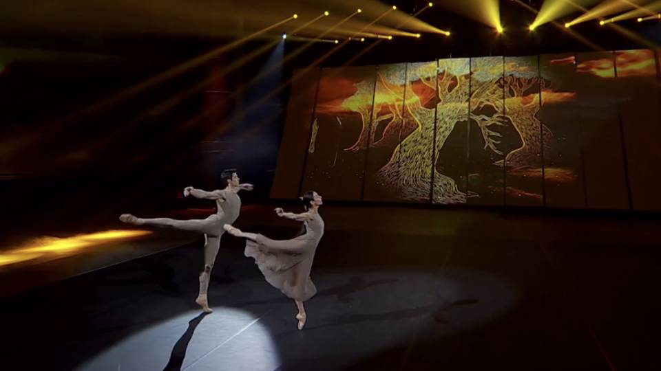 Roberto Bolle - Danza con me