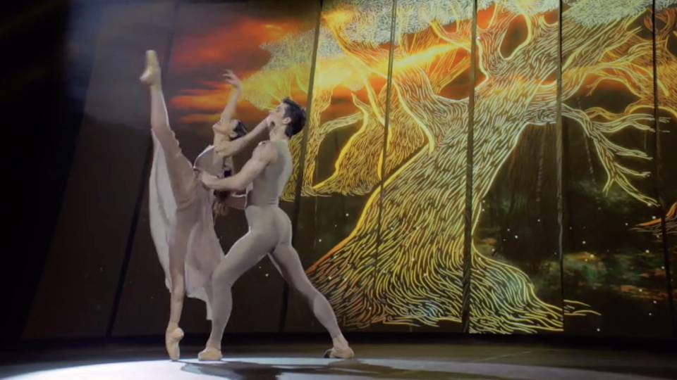 Roberto Bolle - Danza con me